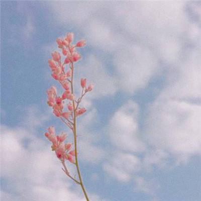 万博手机版max网页版(中国)官方网站下载手机版