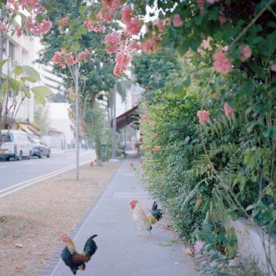 kok在线官网入口