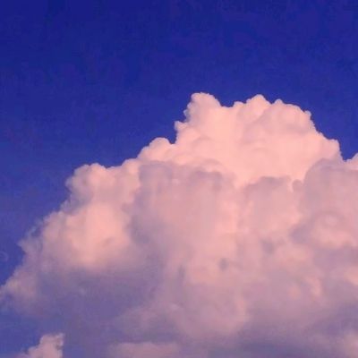 九游会演示说明