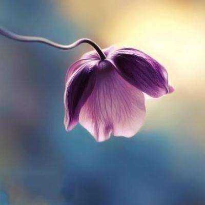 博鱼APP综合体育