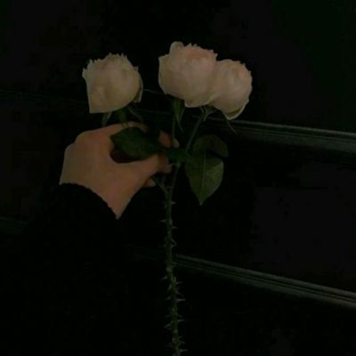 米乐·M6下载手机版